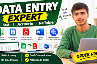 do fast data entry ,excel data typing and copy paste