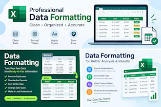 expertly do your excel tasks like data entry, cleaning, formula, lookup,