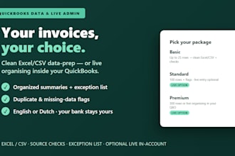 organize invoice data for quickbooks online in excel or CSV