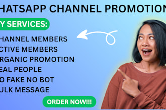 boost whatsapp followers  grow whatsapp 100k channel members with bulk sms