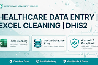 do healthcare data entry, excel data cleaning,dhis2 report