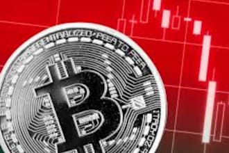 help you set up bitcoin wallet and learn crypto step by step