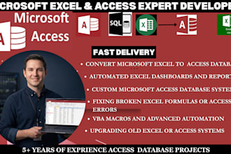 develop microsoft access database application , convert excel to access