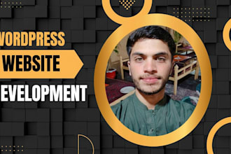 design a professional wordpress website