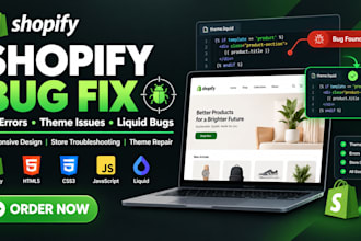 fix shopify bugs, errors, and theme issues