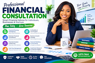 do financial consultation modelling, financial auditing