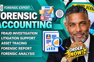 do forensic accounting, fraud investigation, litigation analysis, fraud detect
