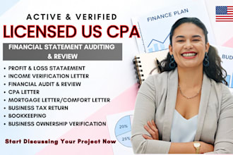 do financial audit, financial statement review and audit report, profit and loss