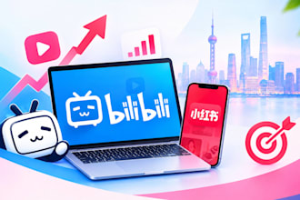 do bilibili promotion, SEO and chinese social media marketing