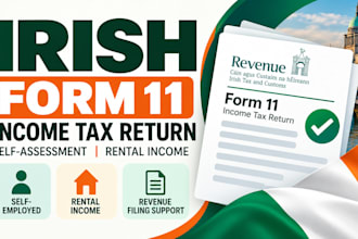 prepare irish form 11 tax return, self assessment, rental income revenue filing