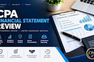 provide CPA financial statement review and limited assurance services