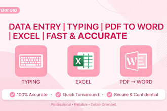 do data entry typing PDF to word conversation fast