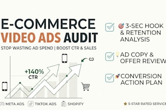 audit your ecommerce ads and provide ad strategy