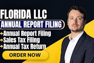 file your florida llc annual report and keep you in good standing fast