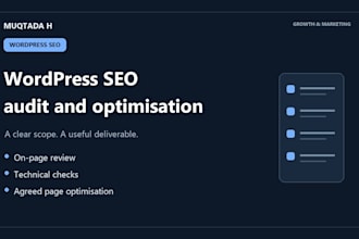audit and optimize wordpress on page and technical SEO