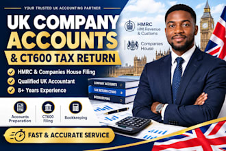 uk accountant to file UK,company account ,UK tax return ct600,UK vat