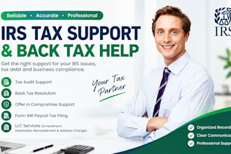 assist with irs audit help and back taxes resolution