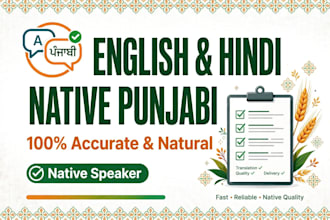 translate english and hindi to native punjabi accurately