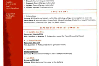 je mets en page votre CV ou document professionnel