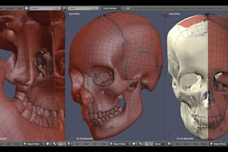 do 3d model retopology and mesh optimization