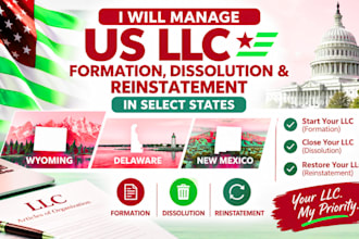 manage US llc formation, dissolution and reinstatement in select states