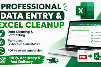 do professional data entry and excel spreadsheet cleanup