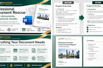 professionally format and fix your word document