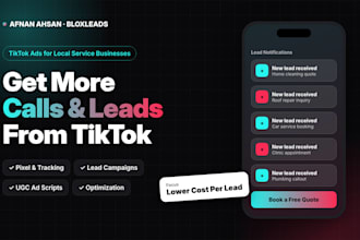 set up and manage tiktok ads campaign for local business lead generation
