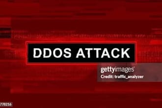 take any website down, ddos attack, website penetrate, ss7 attack