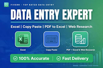 do accurate data entry, excel data entry, copy paste, web research