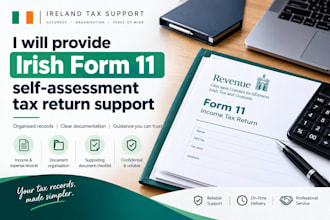 provide irish form 11 self assessment tax return support