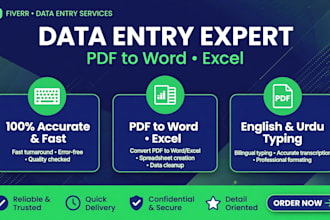 do fast data entry typing work pdf to word and excel work