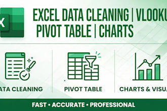 do tally prime  accounting  and excel vlookup work