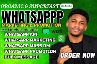 set up whatsapp marketing campaigns and business messaging