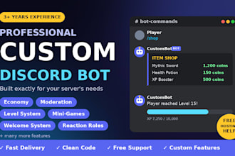 create a professional custom discord bot