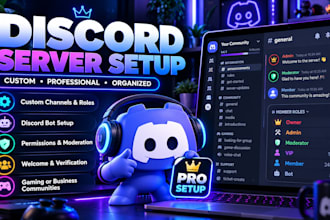 setup a professional custom discord server with roles, channels and bot setup