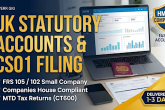 prepare and file your UK tax return, self assessment, and ct600 to hmrc