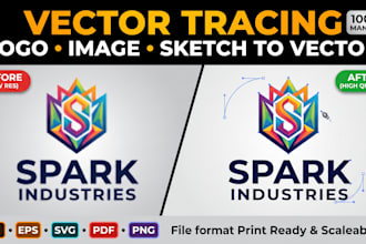 convert image or low resolution logo to high quality vector