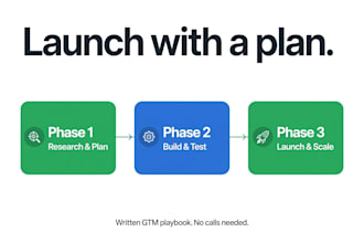 create a go to market strategy playbook for your launch