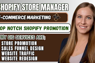 set up your shopify store