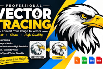 professional vector tracing and image to vector conversion