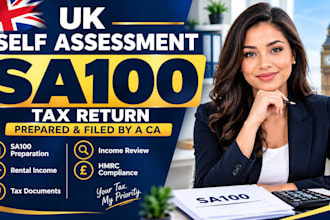 prepare your UK self assessment tax return sa100 for hmrc as a ca
