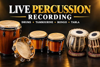 record percussion drum, tambourine, bongo, tabla for your song