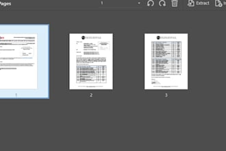 organize, merge, split, and format your PDF documents professionally