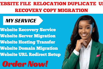 website file redesign relocation duplicate URL https recovery copy migrat