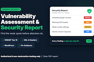 do a website vulnerability assessment and security report
