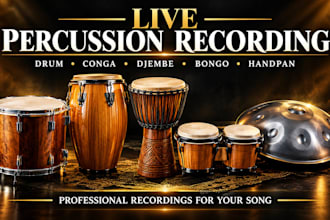 record percussion drum, conga, djembe, bongo, handpan for your song