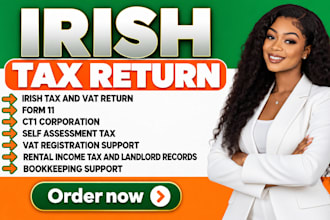prepare irish tax self assesments, form 11, ct1 corporation, rental income tax
