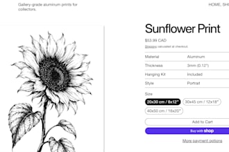 manage and optimize your shopify store as an exshopify specialist