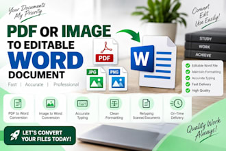 type or retype documents accurately in microsoft  word